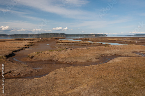 Nisqually river estuary in the Billy Frank Jr. Nisqually National Wildlife Refuge, WA, USA