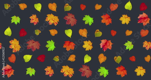 Animated pattern background of rotating dry autumn leaves with shadow, happy thanksgiving background concept