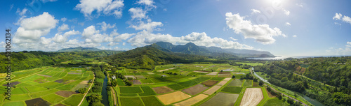 Taro Farms Hanalei, Hawaii photo