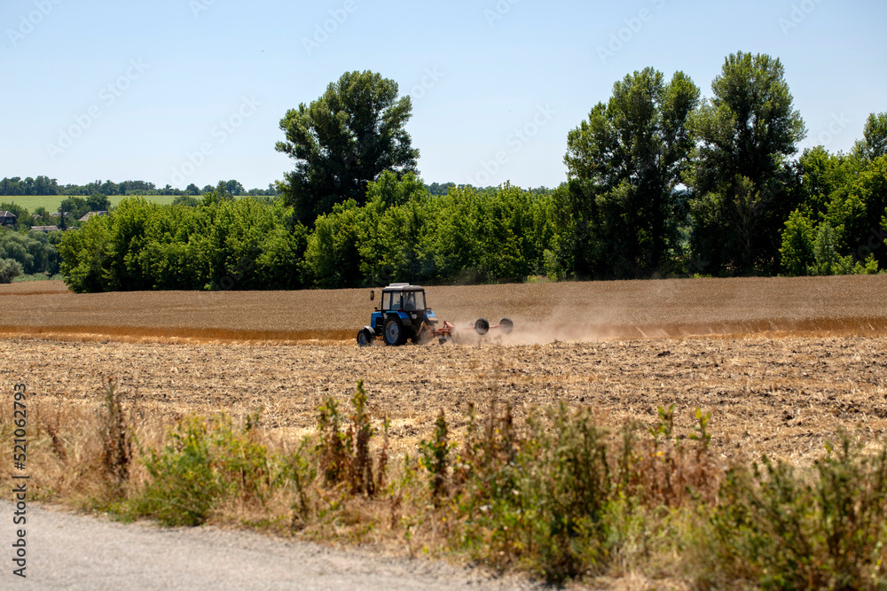 Fototapeta premium The tractor works in the wheat field
