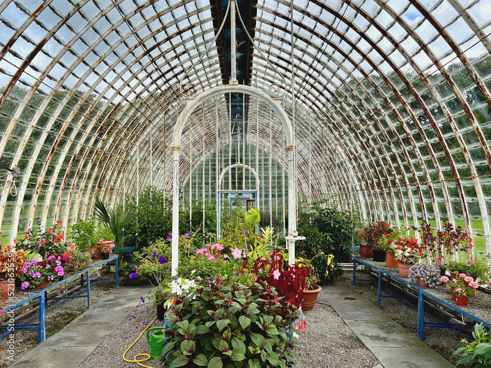 großes Gewächshaus für Gartenblumen 
