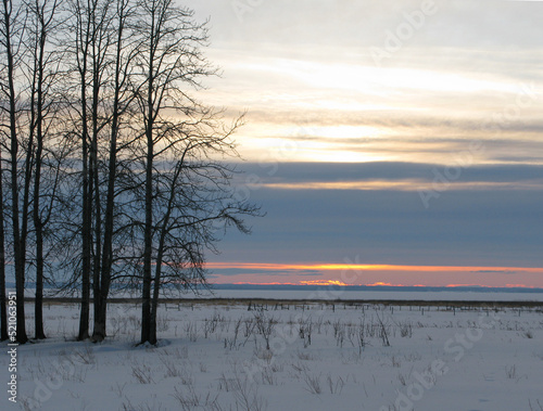 Stillness of winter