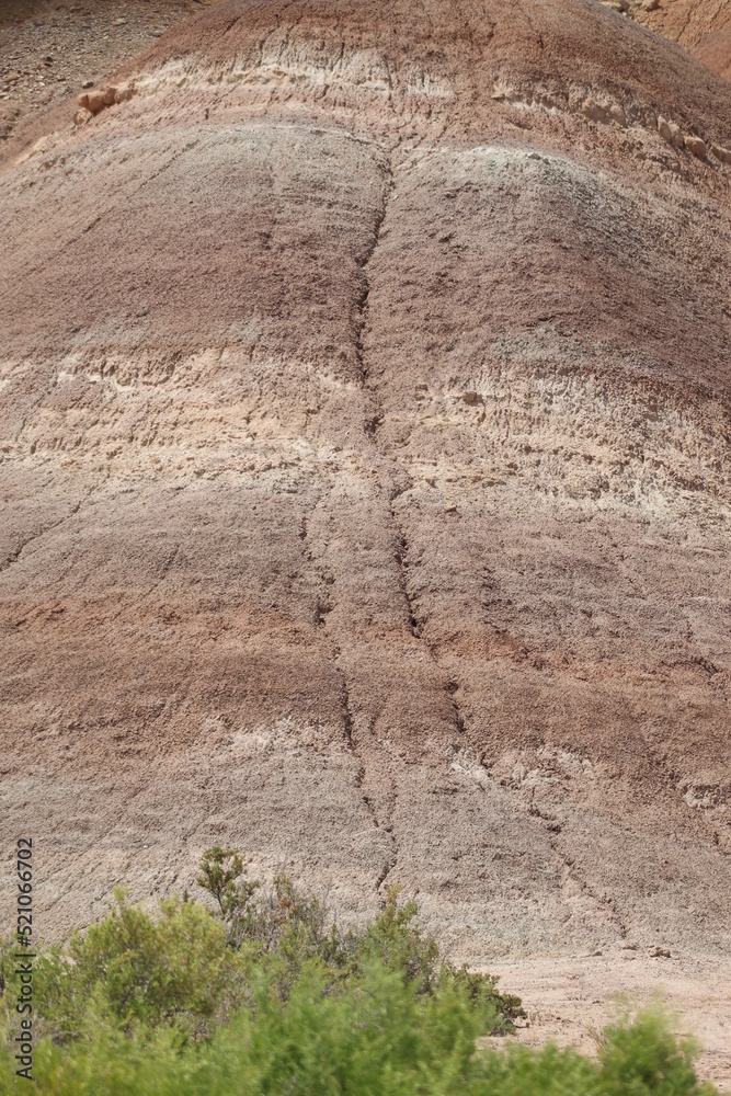 Obraz premium red rock in the desert