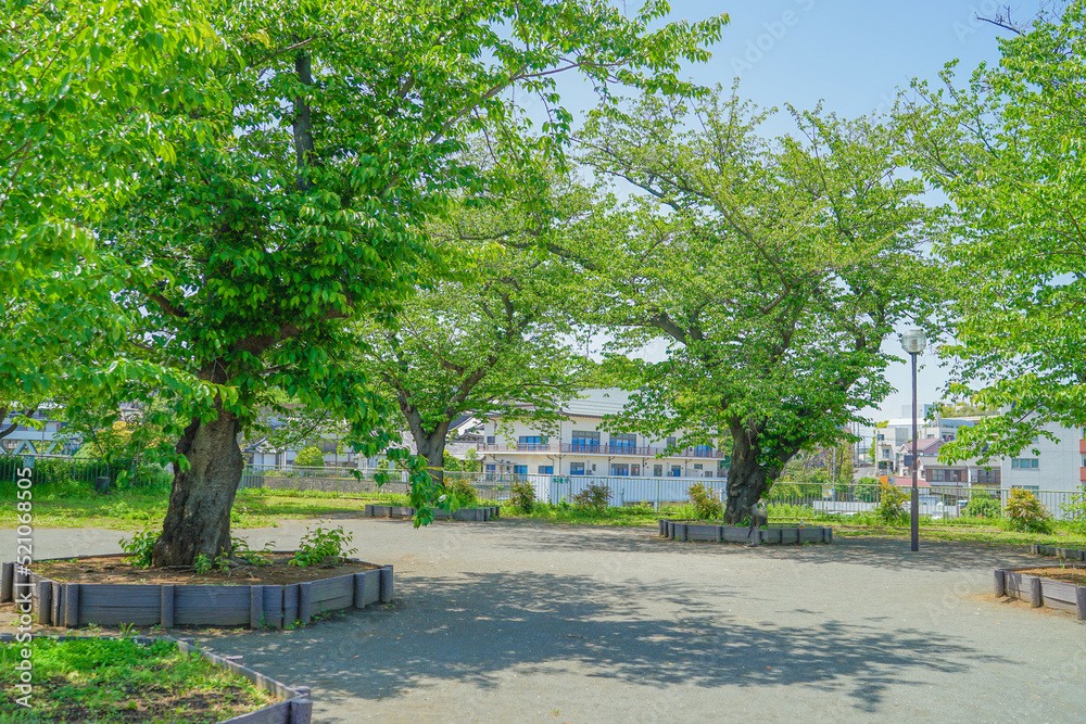 幸ヶ谷公園の風景（横浜市神奈川区）