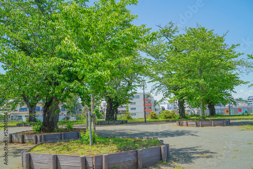 幸ヶ谷公園の風景（横浜市神奈川区）