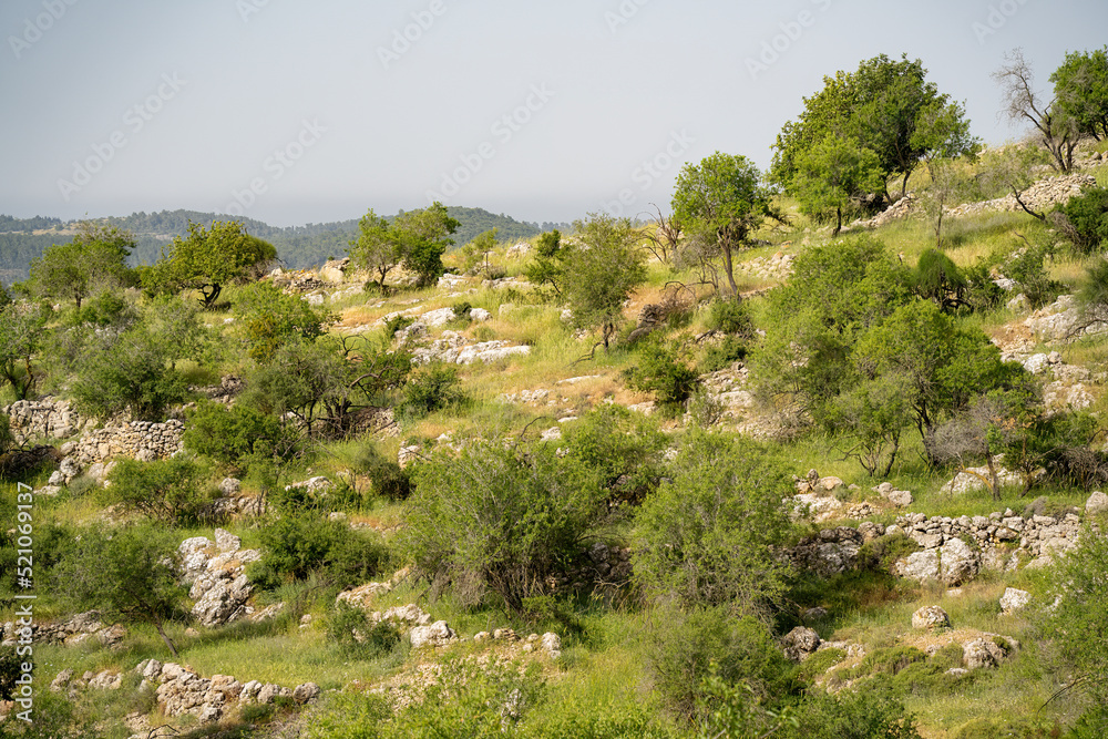 A Landscape in the Judea mountains, Israel