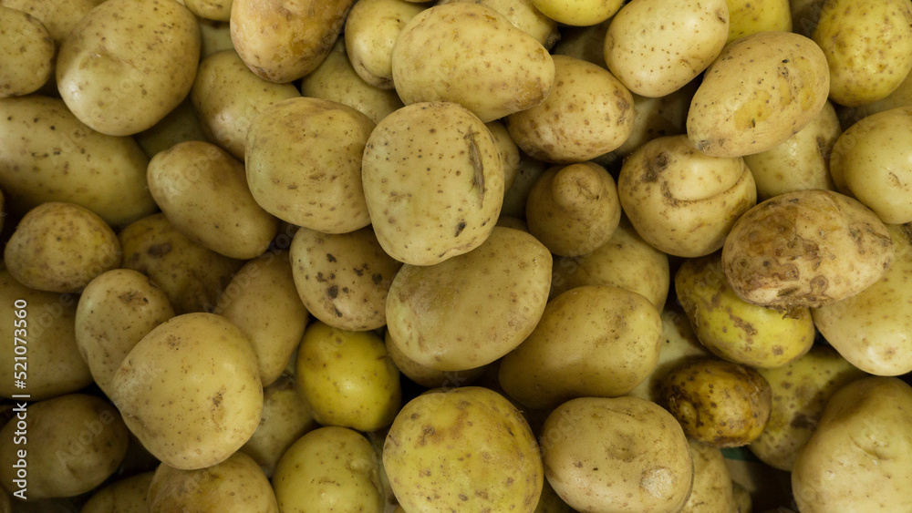 Group of freshly grown organic potatoes Group of freshly grown organic potatoes