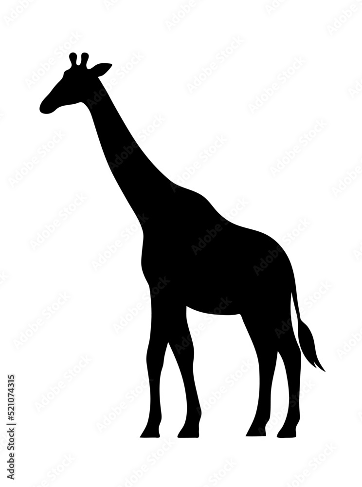 Fototapeta premium Giraffe black silhouette. African herbivore mammal. Zoo and safari. Fauna and zoology. Design template for label, sign, logo. Vector illustration isolated on white background