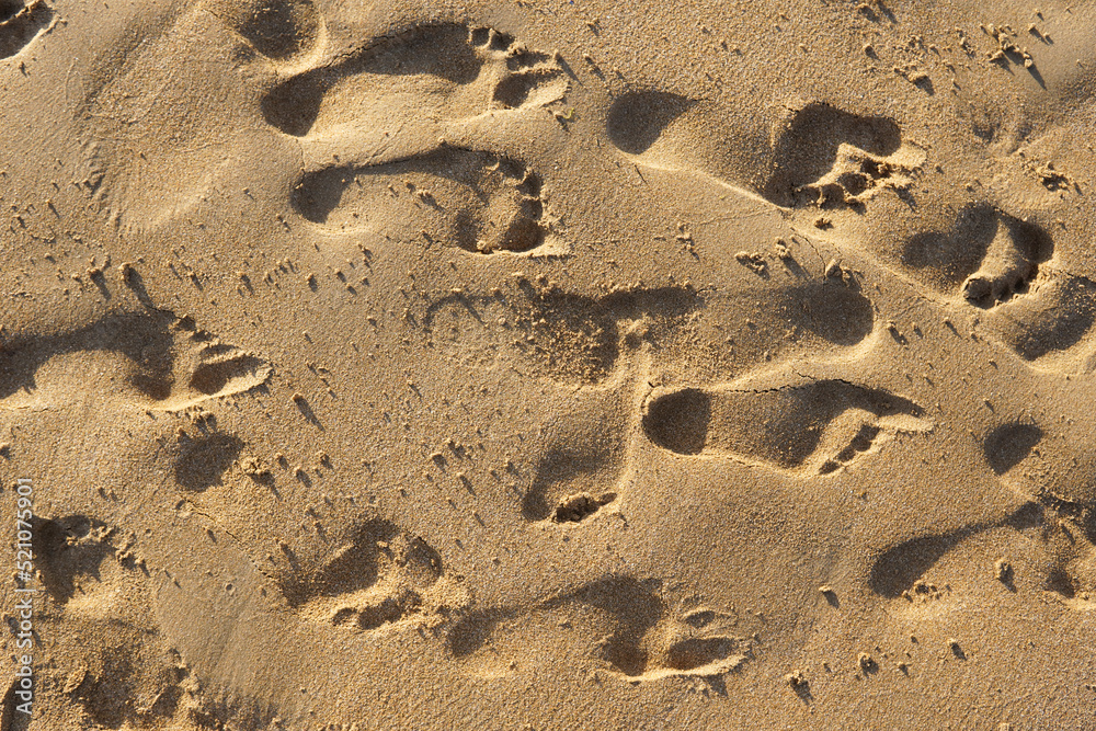 A background of textured sand footprints A background of textured sand footprints