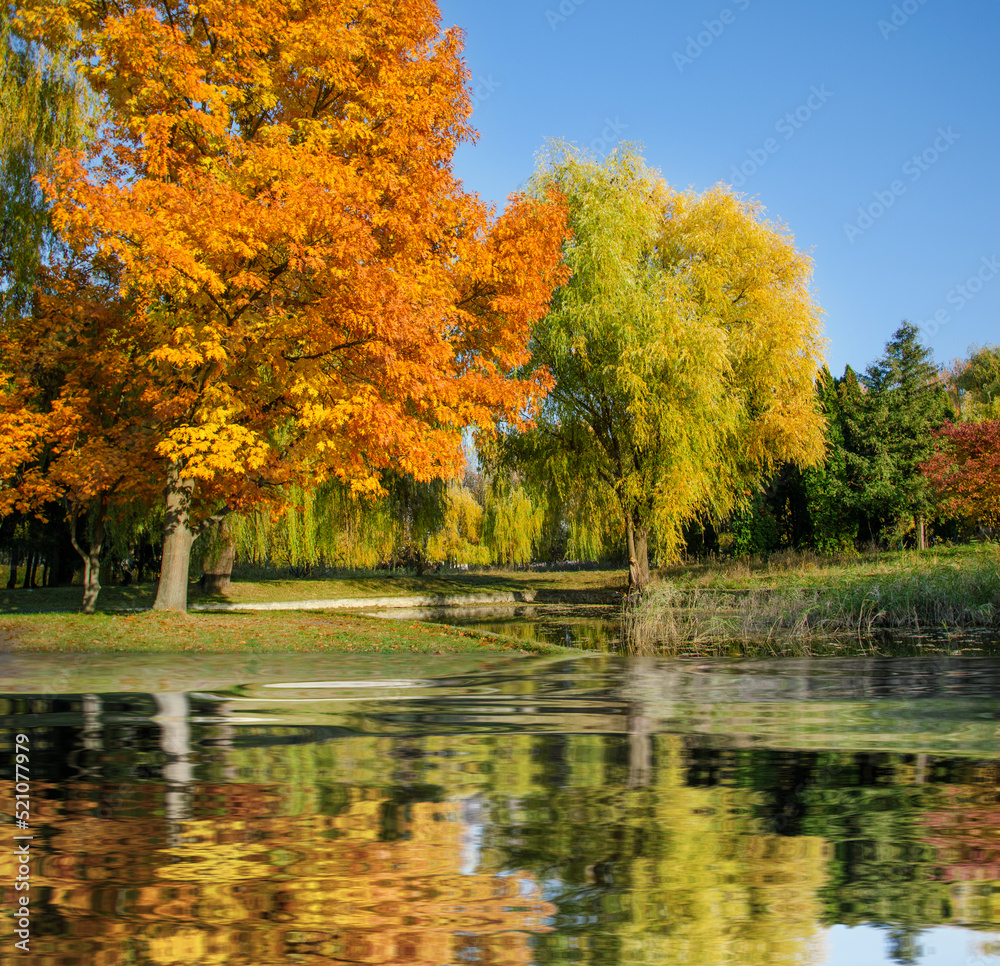 Outdoor autumnal landscape in the park.