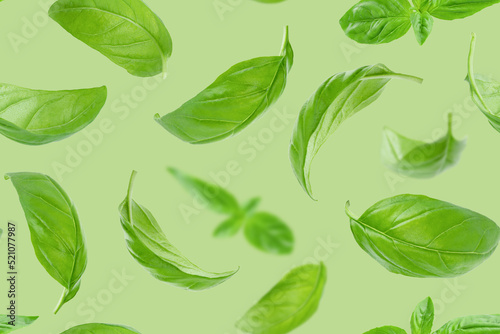 Seamless pattern of basil leaves flying over green background.