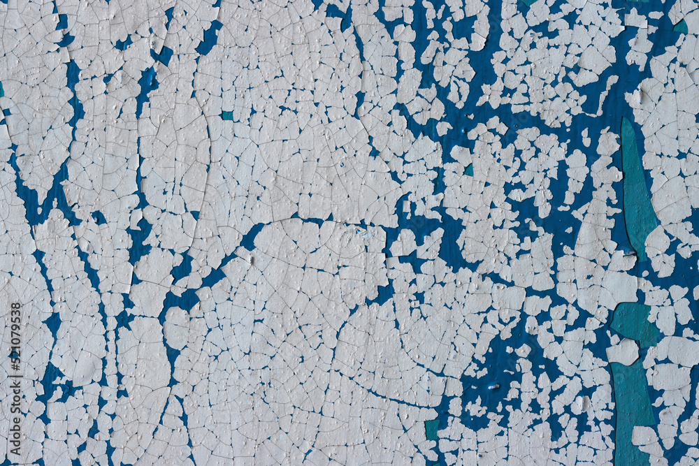 Fototapeta premium Peeling paint on the wall. Old concrete wall with cracked flaking paint. Weathered rough painted surface with patterns of cracks and peeling. Grunge texture for background and design. High resolution.