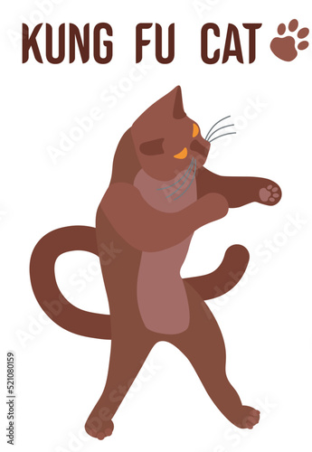 Yellow-eyed brown cat standing and in kung fu fighting stance. Vector illustration isolated on white background.