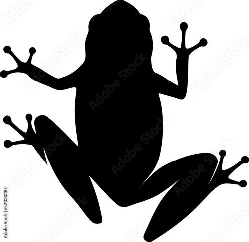 Black silhouette of a frog isolated on a white background. Vector illustration