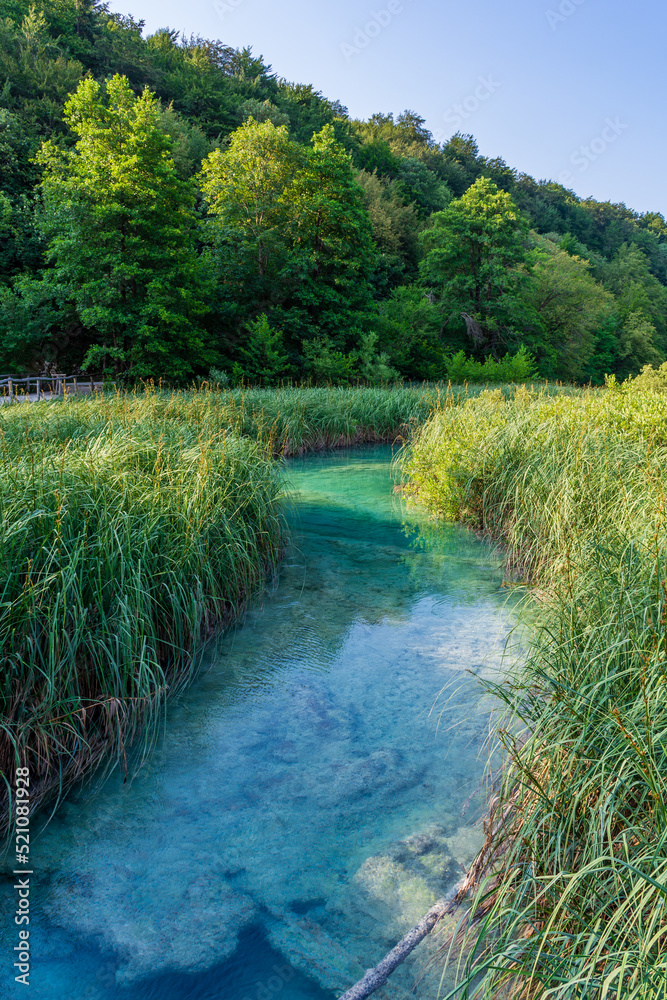 Plitvice lakes in Croatia, beautiful summer landscape with turquoise water