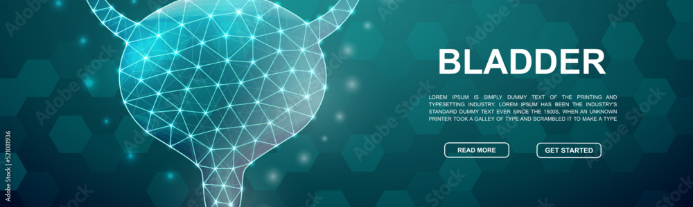 Fototapeta premium Bladder 3d low poly symbol for head promotion banner. Reproductive system design illustration concept. Horizontal polygonal Organ poster illustration