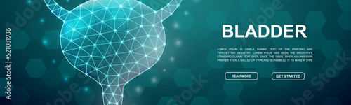 Bladder 3d low poly symbol for head promotion banner. Reproductive system design illustration concept. Horizontal polygonal Organ poster illustration