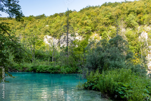 Plitvice lakes in Croatia  beautiful summer landscape with turquoise water