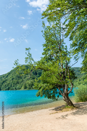 Plitvice lakes in Croatia, beautiful summer landscape with turquoise water © ArturSniezhyn