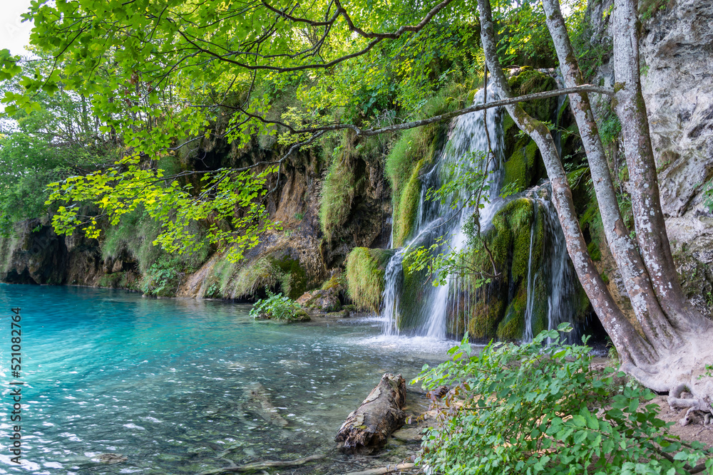 Naklejka premium Plitvice lakes in Croatia, beautiful summer landscape with waterfalls