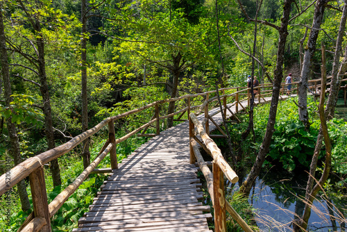 Plitvice lakes in Croatia, beautiful summer landscape with turquoise water