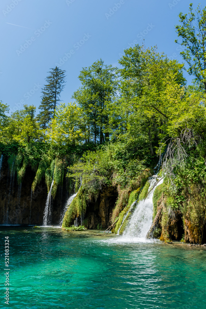 Naklejka premium Plitvice lakes in Croatia, beautiful summer landscape with waterfalls