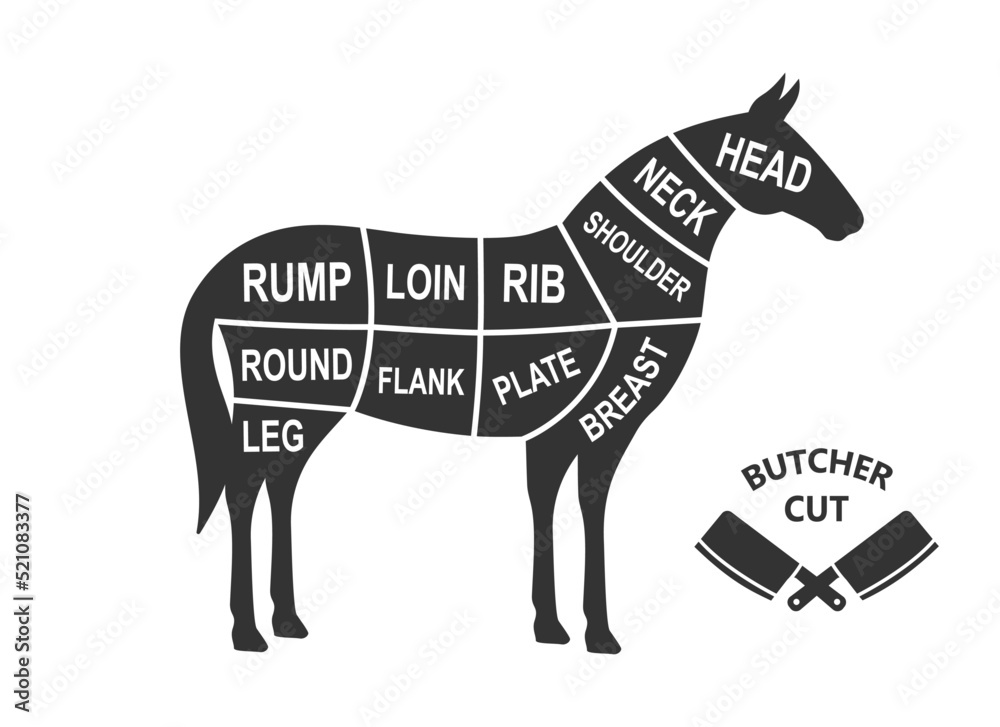 Horse scheme cuts. Butcher diagram poster. Meat diagram scheme