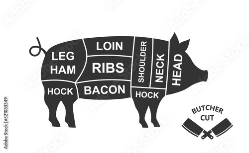 Pig scheme cuts. Butcher diagram poster. Meat diagram scheme illustration. Cuts of pork meat. Farm animal silhouette.