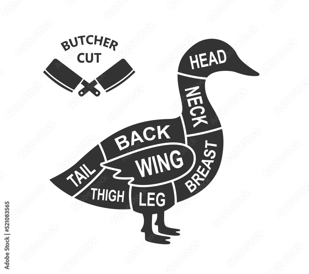 Duck scheme cuts. Butcher diagram poster. Meat diagram scheme
