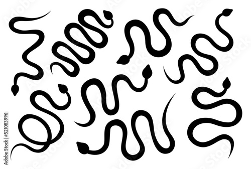 Black snakes silhouettes set. Tropical toxic reptiles. Dark hand drawn poisonous snakes. Dangerous exotic rattlesnakes isolated on white background.