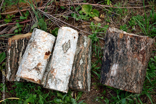 short logs ready to be chopped with an ax, close-up