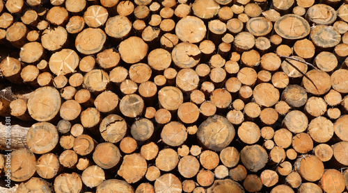 stack of many cut logs in an industrial sawmill