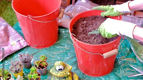 Gardening in the terrace