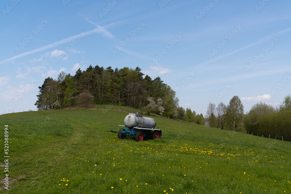 Edge of the forest. Green meadow with dandelions. Barrel of water for animals. Pasture, yellow flowers. Spring: blue sky, clouds, fresh air. Beautiful nature. Village. Joyful mood. Calm.