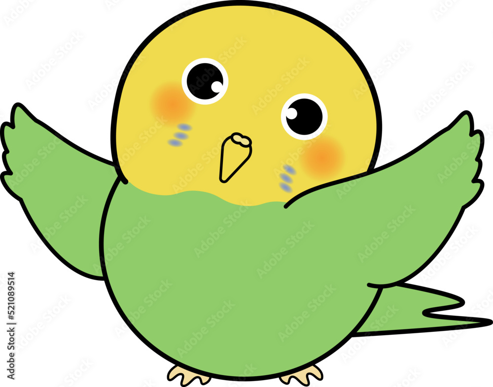 両手を広げるかわいいセキセイインコ 両手を広げるかわいいセキセイインコ