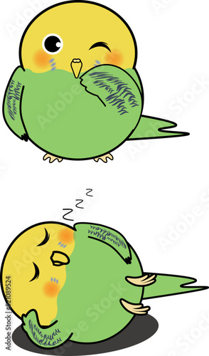 寝る・笑うかわいいセキセイインコ