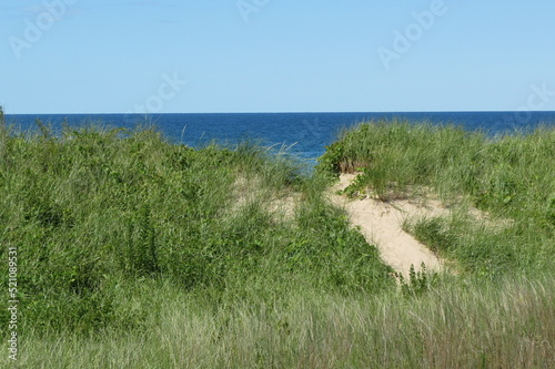 grassy sand dune trail to beach