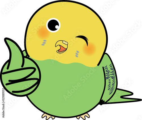 グッドポーズするかわいいセキセイインコ