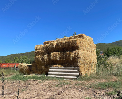 hay bales in the field