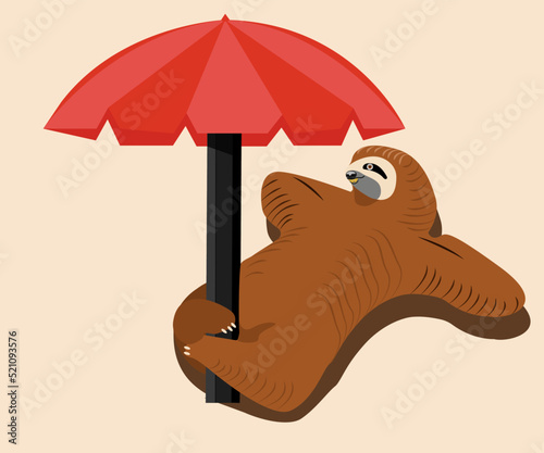 animal sloth, in a relaxed state in a funny performance