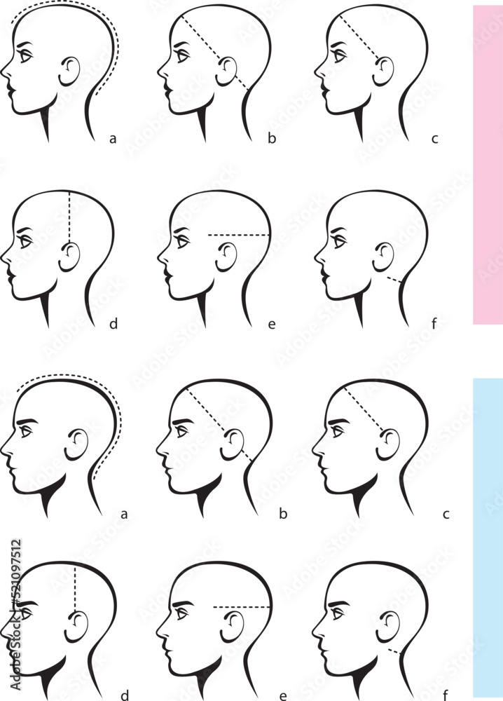 Stylized image of a male y female head. Detailed size chart for ordering hair system. Template for selecting size of a wig or caps for women and men. Vector illustration isolated on white background