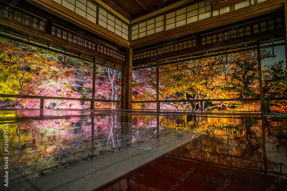 京都 夜の瑠璃光院を彩る秋の美しい紅葉