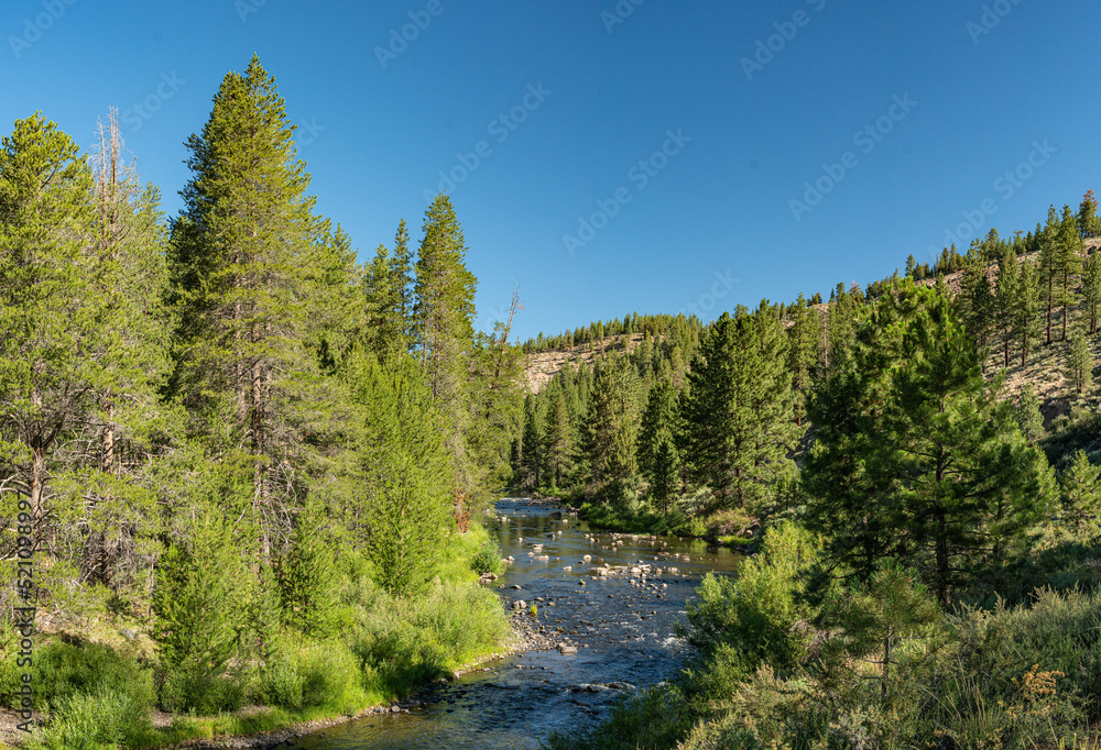 River through California Woodlands near Tahoe River through California Woodlands near Tahoe