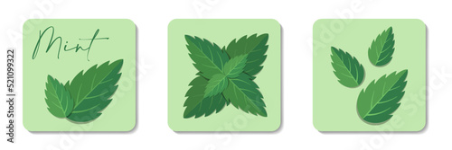 Mint leaves flat icons collection. Stylized flat vector elements with green lettering on pastel background. Best for web, print, menu decoration, logo creating and branding design.