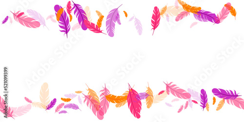 Orange purple pink red feather floating background
