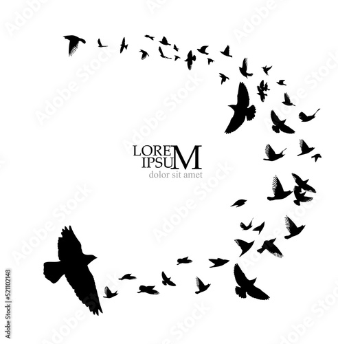 A flock of flying birds. Free birds. Vector illustration