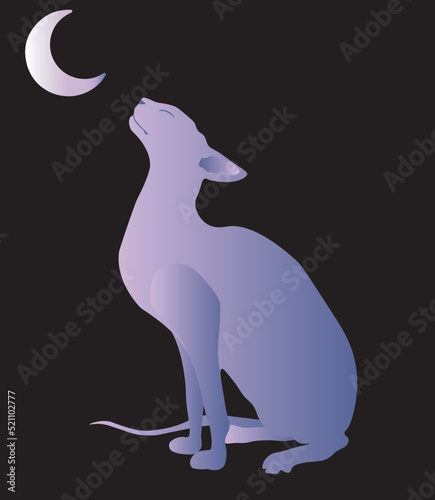  Hairless purple sphynx cat is sitting and looking at the waning moon. Vector illustration isolated on black background.