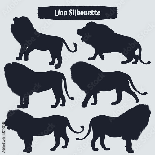 Collection of animal Lion in different positions