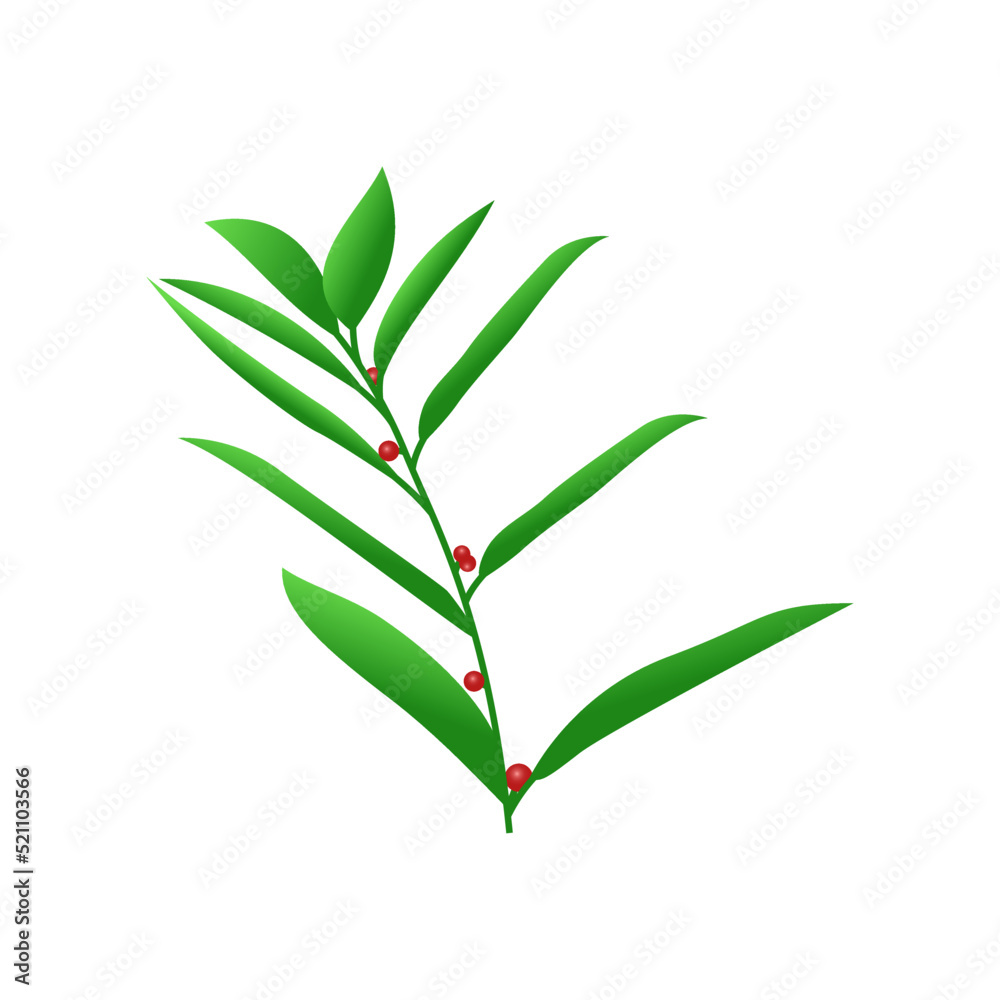 Green Leaf - Manfaat Daun Katuk - Plant Leaves