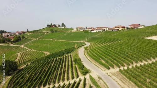 Vineyard Agriculture in Barbaresco, Monferrato Piedmont, Wine Production